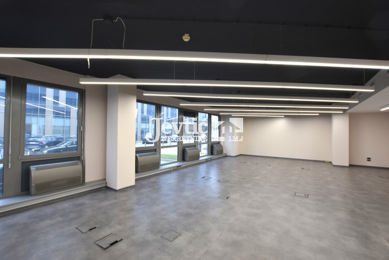 Petosoban i veći Poslovni prostor,  Đorđa Stanojevića, Novi Beograd