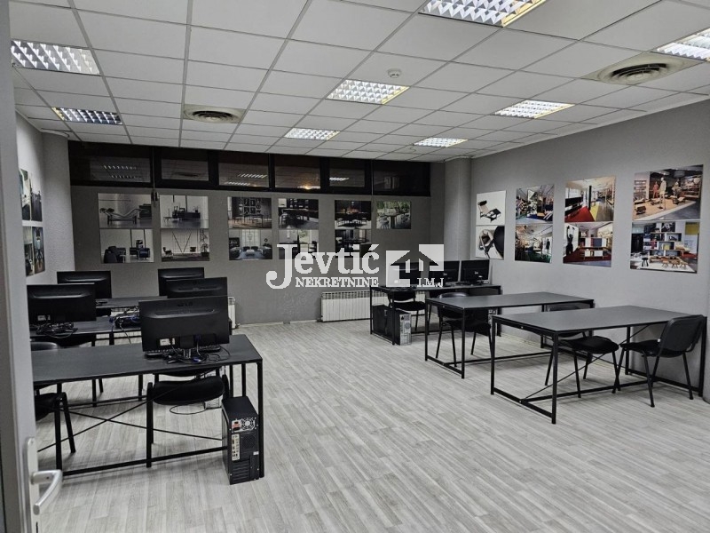 Petosoban i veći Poslovna zgrada, Bulevar despota Stefana, Palilula